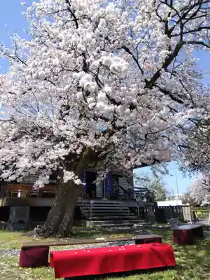 妙経寺(福井県)