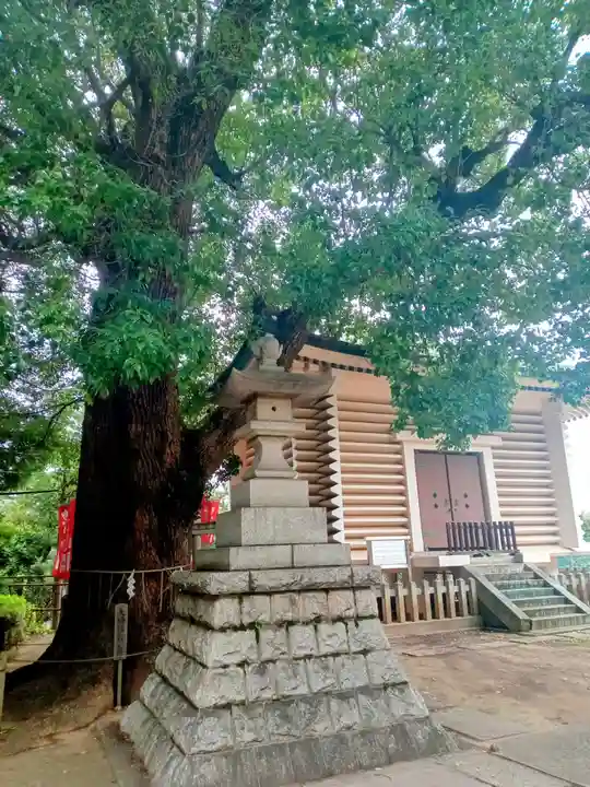 諏訪神社(東京都)