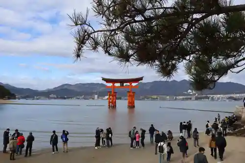 厳島神社(広島県)