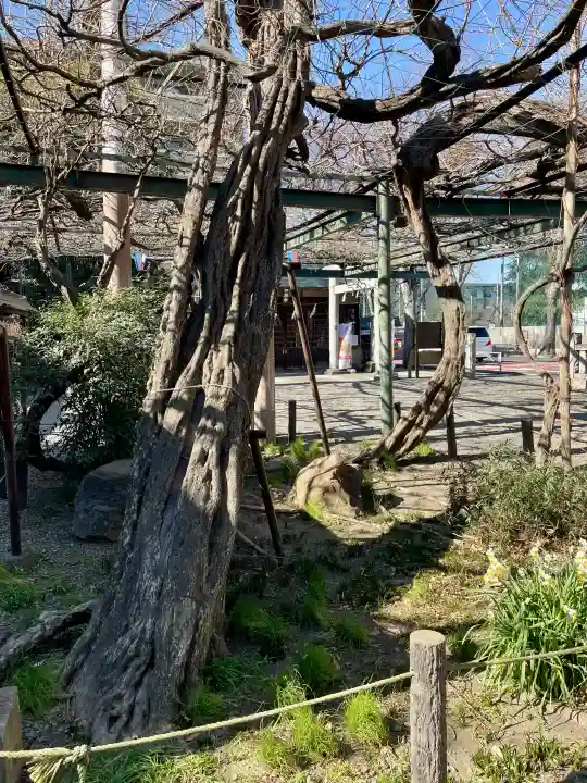 國領神社の{uncategorized: "未分類", other: "その他", undefined: "問題あり", building: "その他建物", grave: "お墓", sacred_gate: "鳥居", guardian: "狛犬", statue: "像", buddha: "仏像", history: "歴史", nature: "自然", garden: "庭園", animal: "動物", pagoda: "塔", temizu: "手水舎", mountain_gate: "山門・神門", sanctuary: "本殿・本堂", subordinate: "末社・摂社", art: "芸術", scenery: "景色", jizo: "地蔵", ema: "絵馬", goshuin: "御朱印", omikuji: "おみくじ", items: "授与品その他", amulet: "お守り", goshuincho: "御朱印帳", eats: "食事", festival: "お祭り", votive_dance: "神楽", shichigosan: "七五三参", wedding: "結婚式", experience: "体験その他", initially: "初詣", around: "周辺", anti_infection: "感染症対策"}