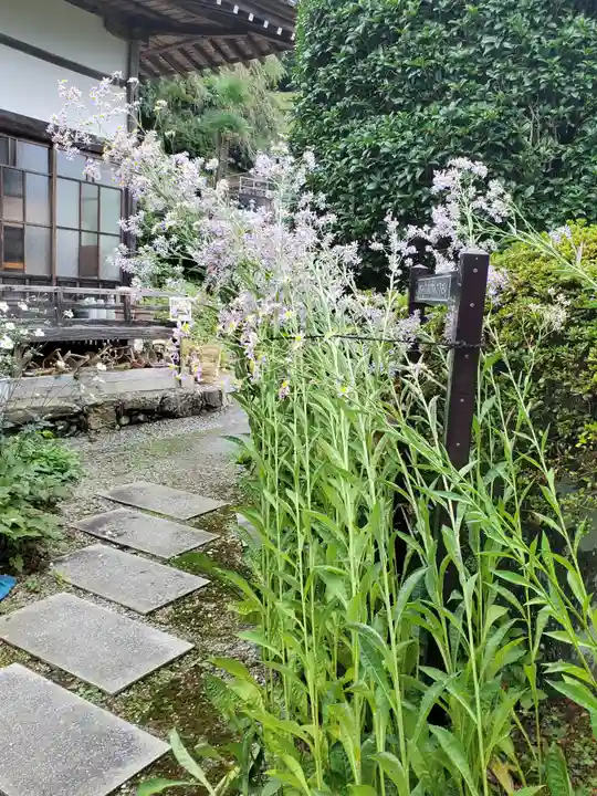 法善寺(埼玉県)