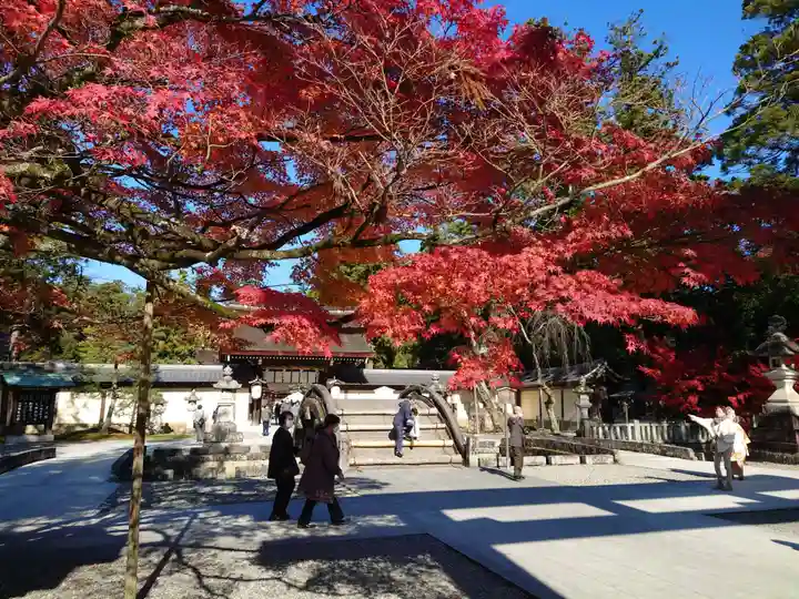 多賀大社(滋賀県)