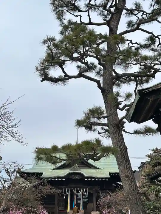桜神宮(東京都)