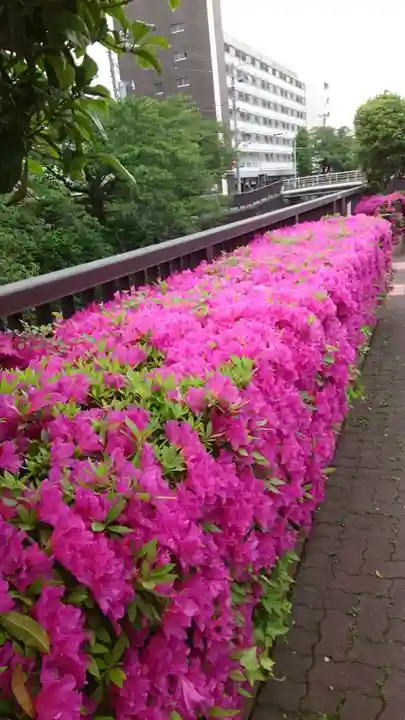 蒲田八幡神社(東京都)