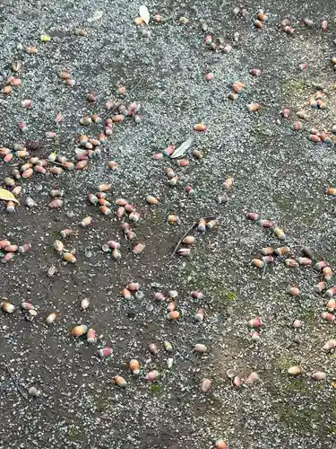 高藏院(東京都)