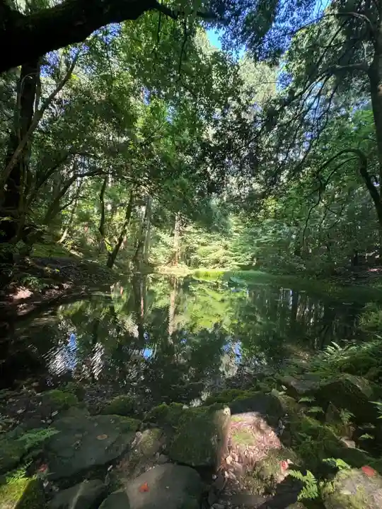 平泉寺白山神社(福井県)