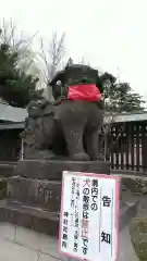 札幌護國神社の狛犬