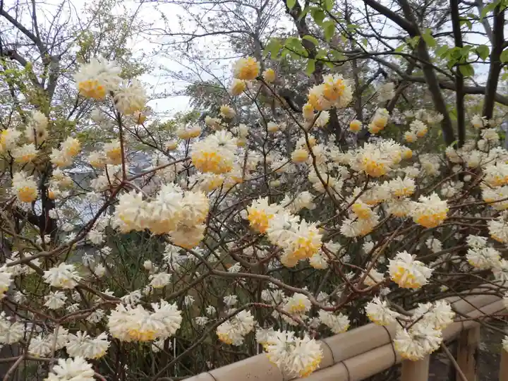 長谷寺(神奈川県)