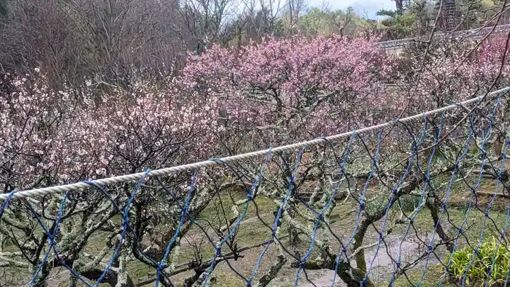 正法寺(京都府)
