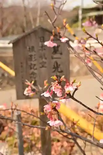 宮地嶽神社(福岡県)