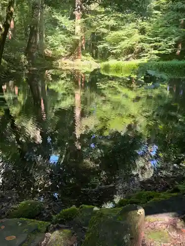 平泉寺白山神社(福井県)