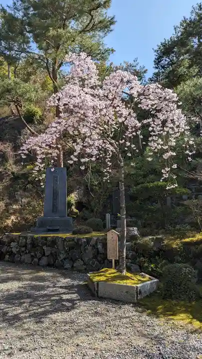 今熊野観音寺(京都府)