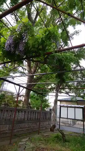 蘇我比咩神社の自然