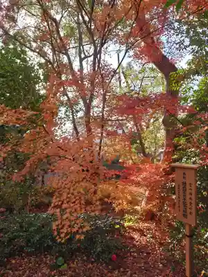 宮山神社(神奈川県)