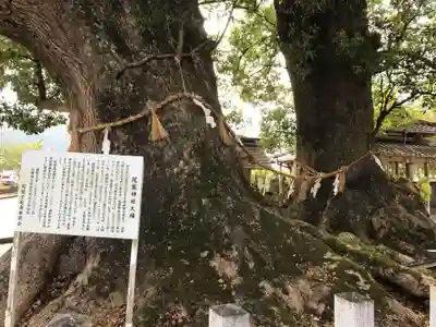 尾鷲神社(三重県)