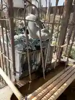 三尾神社の手水舎