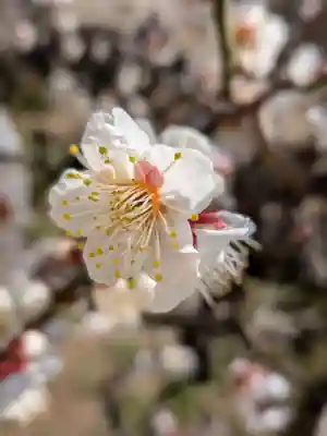 福王山  慈眼寺(東京都)
