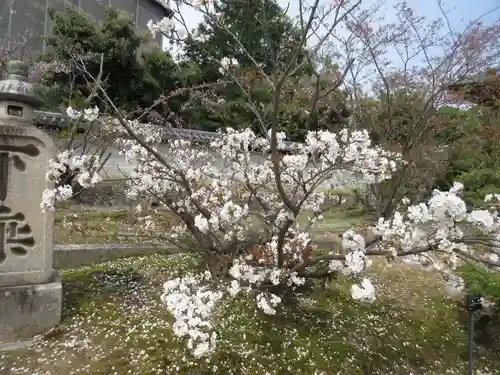 仁和寺の庭園