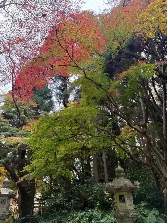 香取神宮(千葉県)