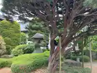 宝光寺の{uncategorized: "未分類", other: "その他", undefined: "問題あり", building: "その他建物", grave: "お墓", sacred_gate: "鳥居", guardian: "狛犬", statue: "像", buddha: "仏像", history: "歴史", nature: "自然", garden: "庭園", animal: "動物", pagoda: "塔", temizu: "手水舎", mountain_gate: "山門・神門", sanctuary: "本殿・本堂", subordinate: "末社・摂社", art: "芸術", scenery: "景色", jizo: "地蔵", ema: "絵馬", goshuin: "御朱印", omikuji: "おみくじ", items: "授与品その他", amulet: "お守り", goshuincho: "御朱印帳", eats: "食事", festival: "お祭り", votive_dance: "神楽", shichigosan: "七五三参", wedding: "結婚式", experience: "体験その他", initially: "初詣", around: "周辺", anti_infection: "感染症対策"}