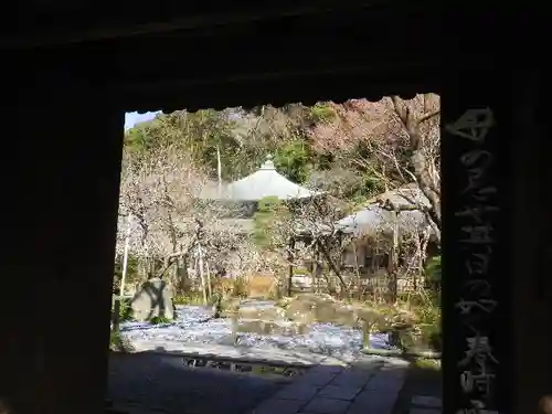 瑞泉寺の山門