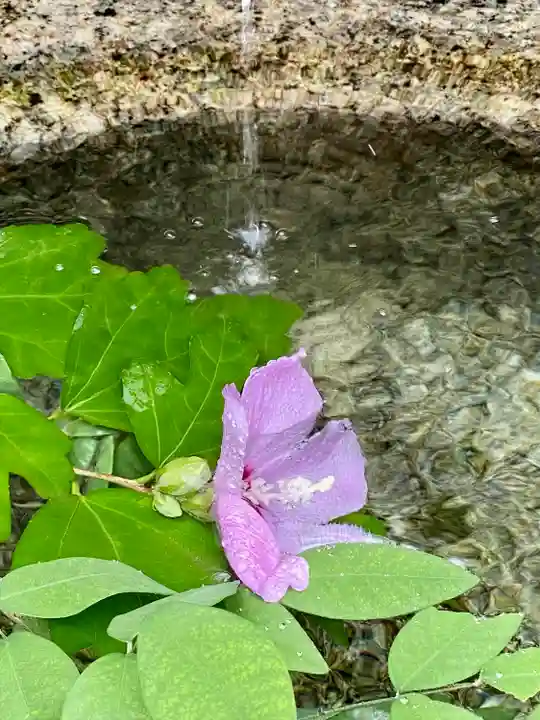 梨木神社(京都府)