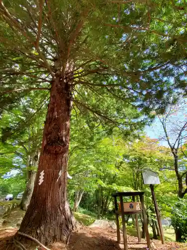 土津神社｜こどもと出世の神さまの自然