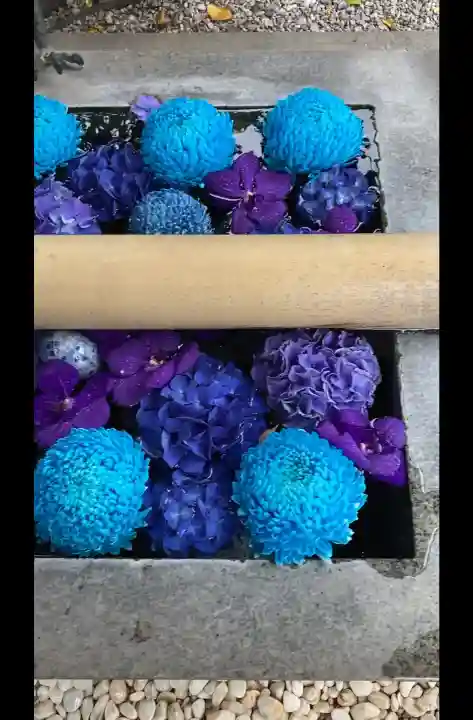 蛇窪神社の{uncategorized: "未分類", other: "その他", undefined: "問題あり", building: "その他建物", grave: "お墓", sacred_gate: "鳥居", guardian: "狛犬", statue: "像", buddha: "仏像", history: "歴史", nature: "自然", garden: "庭園", animal: "動物", pagoda: "塔", temizu: "手水舎", mountain_gate: "山門・神門", sanctuary: "本殿・本堂", subordinate: "末社・摂社", art: "芸術", scenery: "景色", jizo: "地蔵", ema: "絵馬", goshuin: "御朱印", omikuji: "おみくじ", items: "授与品その他", amulet: "お守り", goshuincho: "御朱印帳", eats: "食事", festival: "お祭り", votive_dance: "神楽", shichigosan: "七五三参", wedding: "結婚式", experience: "体験その他", initially: "初詣", around: "周辺", anti_infection: "感染症対策"}