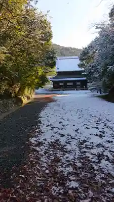 御寺 泉涌寺(京都府)