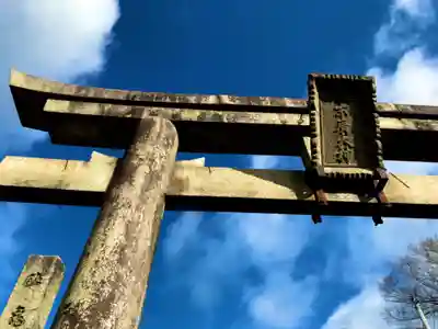 伏見稲荷大社の鳥居