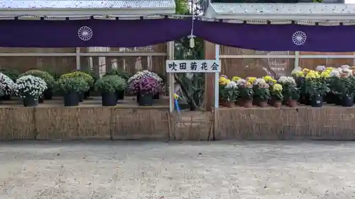 泉殿宮(大阪府)