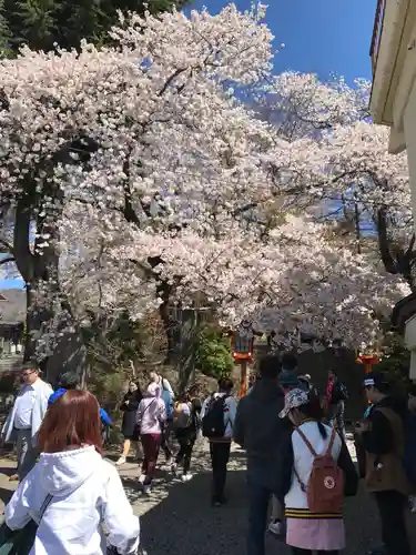 新倉富士浅間神社の自然