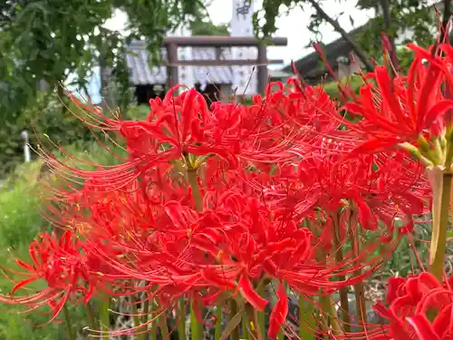 裏木神社の自然
