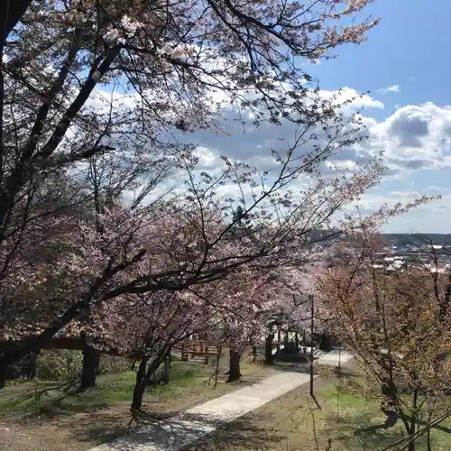 新得神社の自然