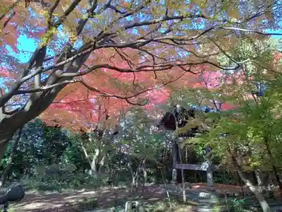 龍尾寺(大阪府)