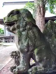 愛宕神社の狛犬