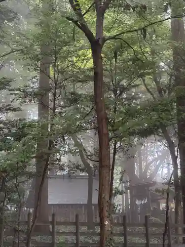 宝登山神社奥宮(埼玉県)