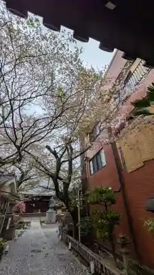 墨染寺（桜寺）(京都府)