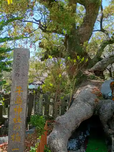 牛嶋天満宮の{uncategorized: "未分類", other: "その他", undefined: "問題あり", building: "その他建物", grave: "お墓", sacred_gate: "鳥居", guardian: "狛犬", statue: "像", buddha: "仏像", history: "歴史", nature: "自然", garden: "庭園", animal: "動物", pagoda: "塔", temizu: "手水舎", mountain_gate: "山門・神門", sanctuary: "本殿・本堂", subordinate: "末社・摂社", art: "芸術", scenery: "景色", jizo: "地蔵", ema: "絵馬", goshuin: "御朱印", omikuji: "おみくじ", items: "授与品その他", amulet: "お守り", goshuincho: "御朱印帳", eats: "食事", festival: "お祭り", votive_dance: "神楽", shichigosan: "七五三参", wedding: "結婚式", experience: "体験その他", initially: "初詣", around: "周辺", anti_infection: "感染症対策"}