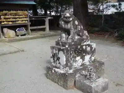 川津来宮神社の狛犬
