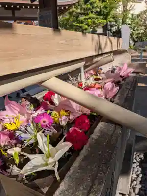 鳩森八幡神社の手水舎