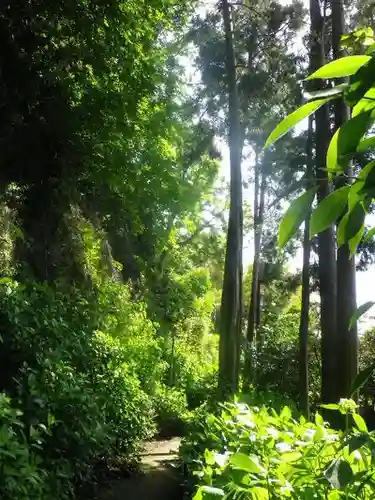 御霊神社の自然