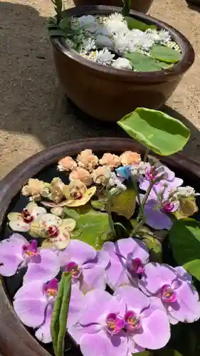 餘慶寺(岡山県)