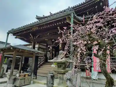 今熊野観音寺(京都府)