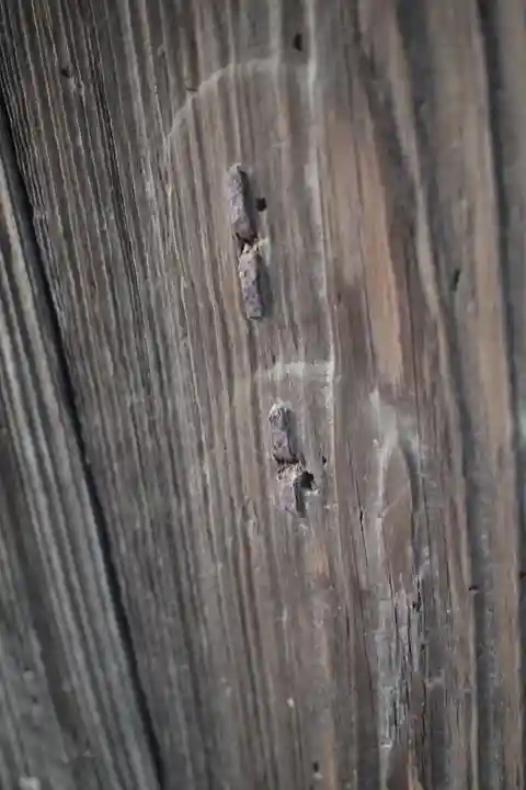 正法寺のその他建物