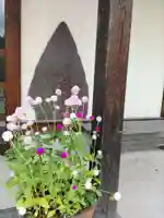 宝泉寺の末社・摂社