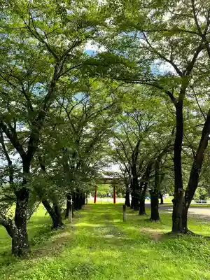 子檀嶺神社(長野県)