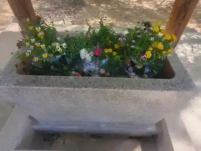 高山神社(群馬県)