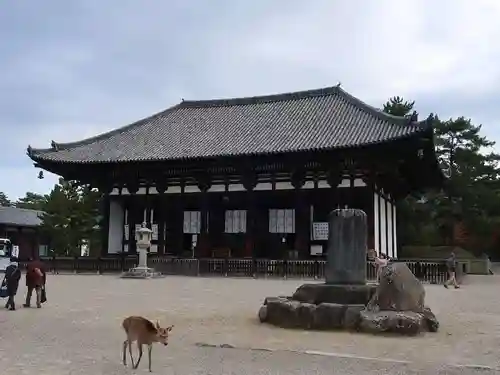 興福寺の本殿・本堂
