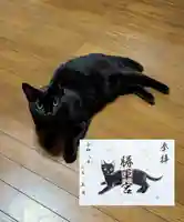 駒込妙義神社の御朱印